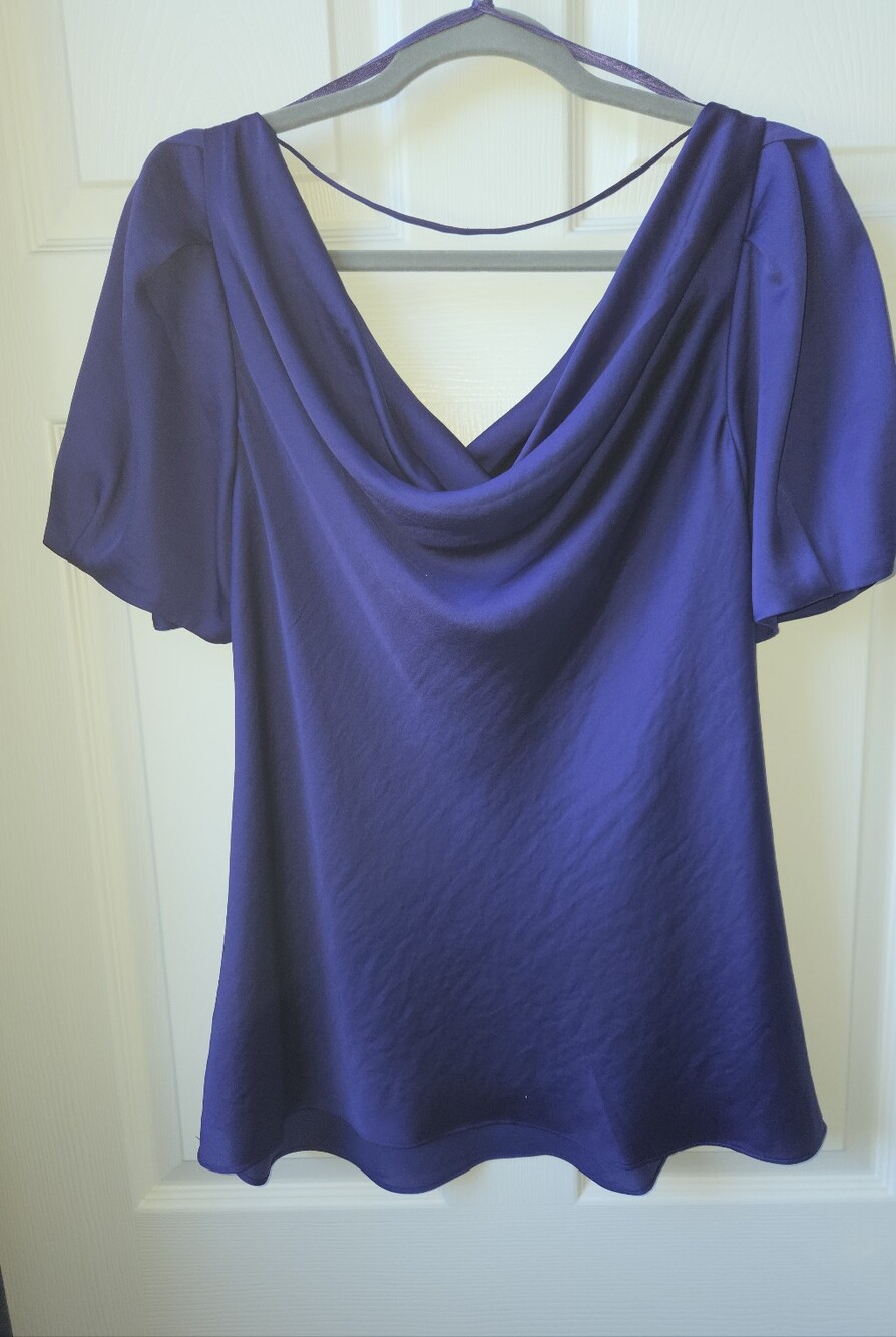 le chateau Satin Cowl Neck Flutter Sleeve Top in Deep Purple